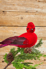 13" Velvet & Feather Cardinal Clip Ornament