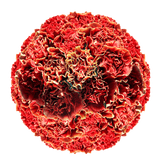 Bi-Color Carnations Fresh Flower Bouquets