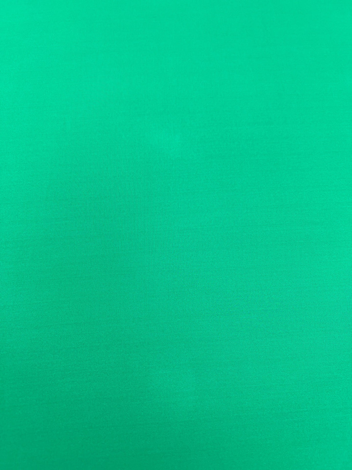 Cotton Stretch Knitted Fabric Green