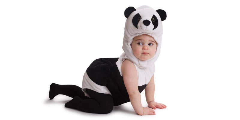 Cuddly Baby Panda Bear Costume