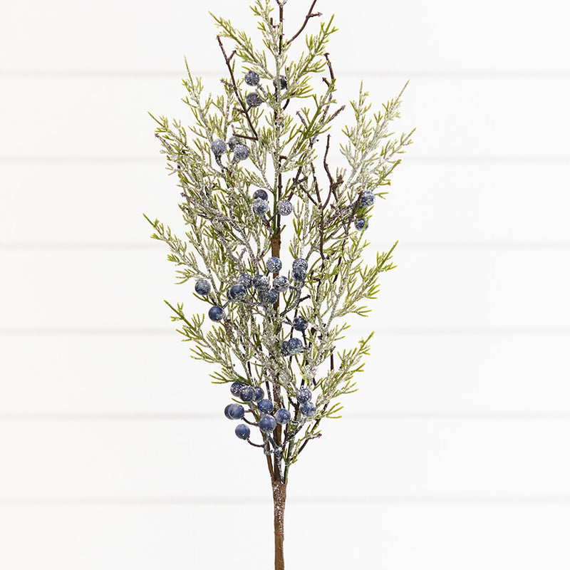 33" Blue Frosted Juniper Spray