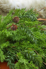 Cedar Hemlock Swag 32 Inch Christmas Greenery Holiday Decoration