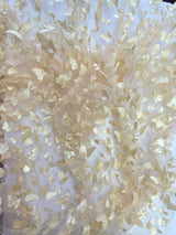 1 Yard Champagne 3D Butterfly Mesh Fabric with Satin Appliqué on Stretch Sheer Base 54 Inch Wide