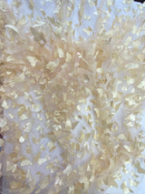 3D Butterflies Champagne Polyester Fabric - Light Weight Satin Butterflies On 2-Way Stretch Mesh, Champagne, 54" Width