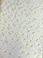 3D Butterflies Champagne Polyester Fabric - Light Weight Satin Butterflies On 2-Way Stretch Mesh, Champagne, 54" Width