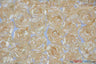 Rosette Satin Bordeaux Polyester Fabric - 3D Floral Satin Embroidered On A Mesh, Bordeaux, 52" Width (1 Yard)