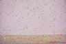 Tulle Glitter With Sequins Polyester Fabric - Glitter Embellished Sheer Tulle, Multiple Colors, 58/60" Width (1 Yard)