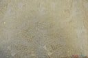 Botanical Bubble Metallic Jacquard Fabric - Metallic Vein Criss Cross Pattern, 54" Width, 4 Colors Available