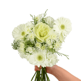 Christmas Snow Flower Bouquet Fresh Mixed Arrangement