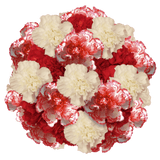 Christmas Carnations – Fresh Flower Bouquets
