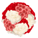 Christmas Carnations – Fresh Flower Bouquets