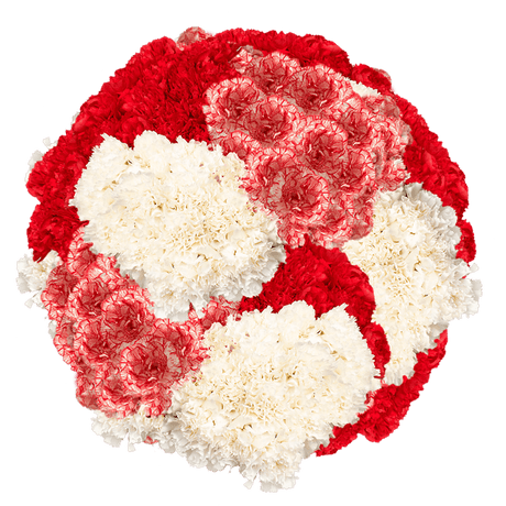 Christmas Carnations – Fresh Flower Bouquets