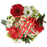 Peaceful Winter Bouquets 5 Pack 21 Stems Fresh Flower Arrangements Seasonal Floral Gift Set