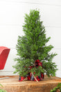 24” Cedar Tree In Plaid Sack