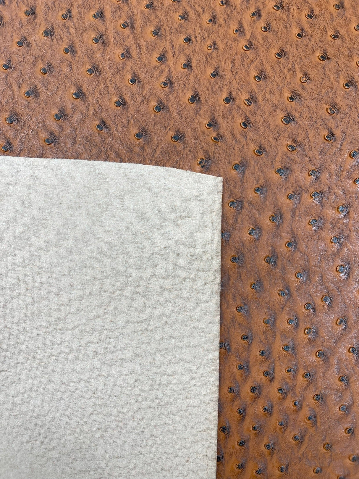 Classic Ostrich Upholstery Vinyl Fabric - Two-Tone Embossed Ostrich Pattern, 54" Width (1 Yard)