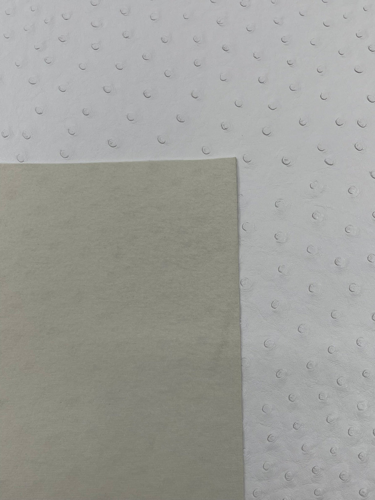 Classic Ostrich Upholstery Vinyl Fabric - Two-Tone Embossed Ostrich Pattern, 54" Width (1 Yard)