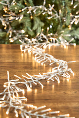 25' Platinum Elite Cluster Lights - 760L Warm White (Clear Cord)