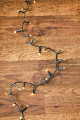 20' Warm White LED Compact Lights - Battery Operated