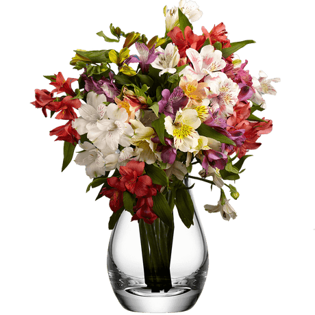 Alstroemeria Mix & Match Stems – Fresh Cut Flower Bouquets