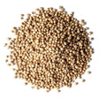 Zara Foods Coriander Seed