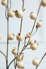 30” Mini Cream Pomegranate Christmas Tree Sprays (Weather Resistant)