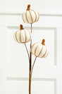 25” Cream Triple Natural Weave Autumn Pumpkin Spray