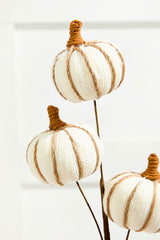 25” Cream Triple Natural Weave Autumn Pumpkin Spray