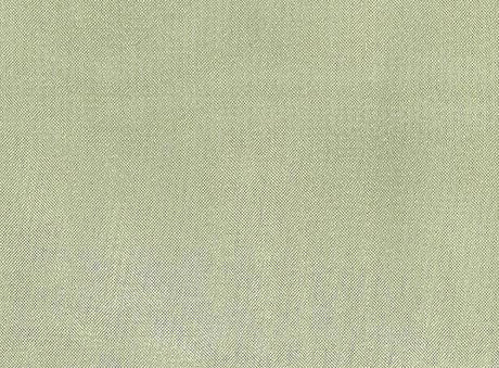 Crystal Organza 100 Percent Polyester Fabric - Apple Green, Sheer, 58/60" Width (1 Yard)