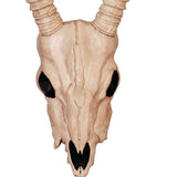 Skeleton Gazelle Head – 18" Halloween Skull Decoration