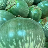 Giant Thai Eggplant Seeds 20 Seeds Green Round Thai Eggplant Organic Variety