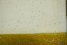 Tulle Glitter With Sequins Polyester Fabric - Glitter Embellished Sheer Tulle, Multiple Colors, 58/60" Width (1 Yard)
