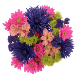 Floral Fireworks Flower Bouquet Fresh Mixed Arrangement