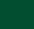 Plain Heat Transfer Vinyl - Green, Hot Peel, 20" H x 12" W (Foot)