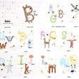 Cuddle Fabric Digital Panel B Is For Bear
