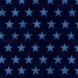 Cotton Print Blue Rugged Stars Route 66 Fabric 44/45"