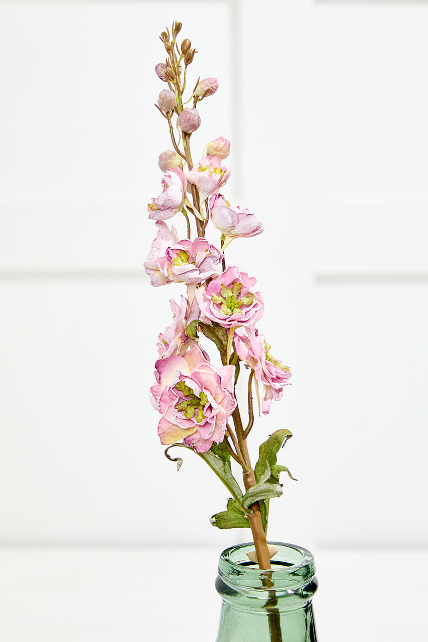 27" Dried Delphinium Stem