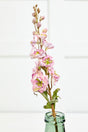 27" Dried Delphinium Stem