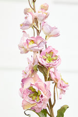 27" Dried Delphinium Stem
