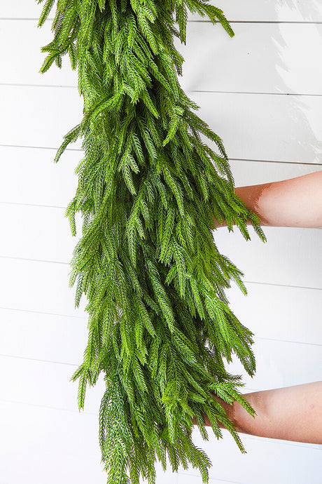 60" x 16" Real Touch Deluxe Norfolk Pine Garland