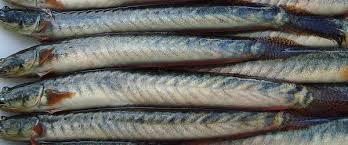 Chiring 500Gm