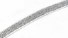 Metallic Elastic Trim 3/8" Gold Silver