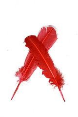 Feather Applique Red 11.50 x 2.50