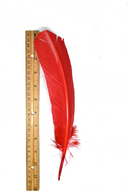 Feather Applique Red 11.50 x 2.50