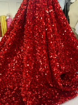 Red Sequin on Velvet