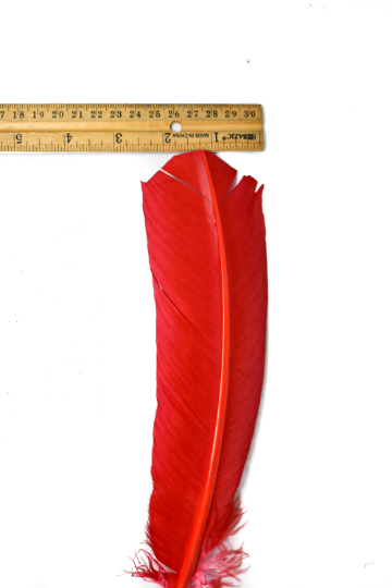 Feather Applique Red 11.50 x 2.50