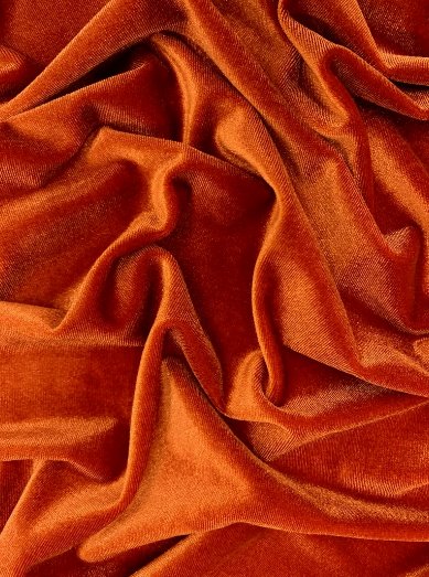 Stretch Velvet Burnt Orange