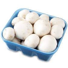 Mushroom 8 Oz