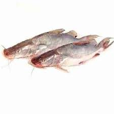 Ayer Fish