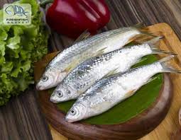 Bata Fish 400gm