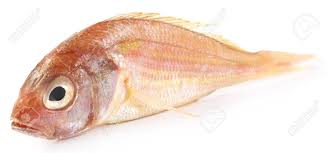 PUA FISH 500GM